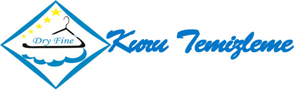 Dry Fine Kuru Temizleme ve Ütü evi